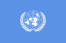 Country Flag